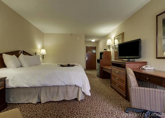 Quality & - Downtown Hotel