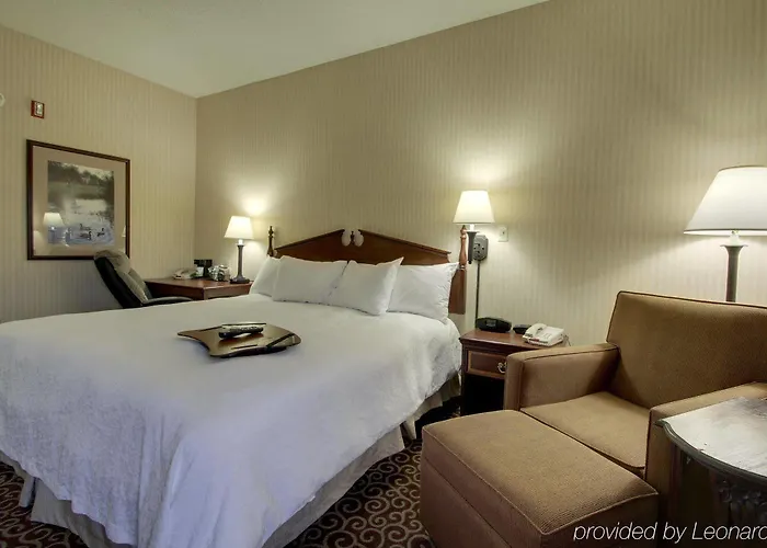 Hotel Quality & - Downtown 4*