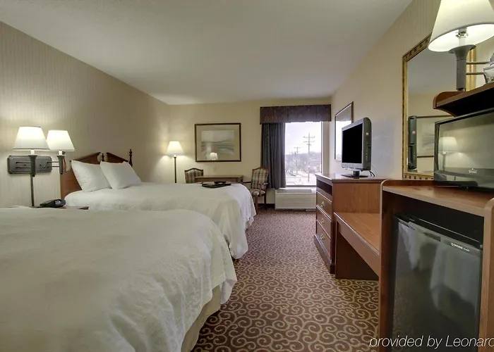 Quality & - Downtown Hotel 4*