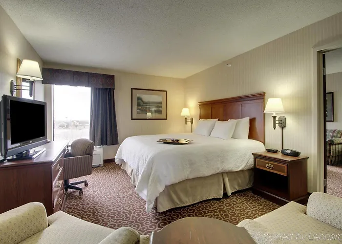 Quality & - Downtown Hotel 4*