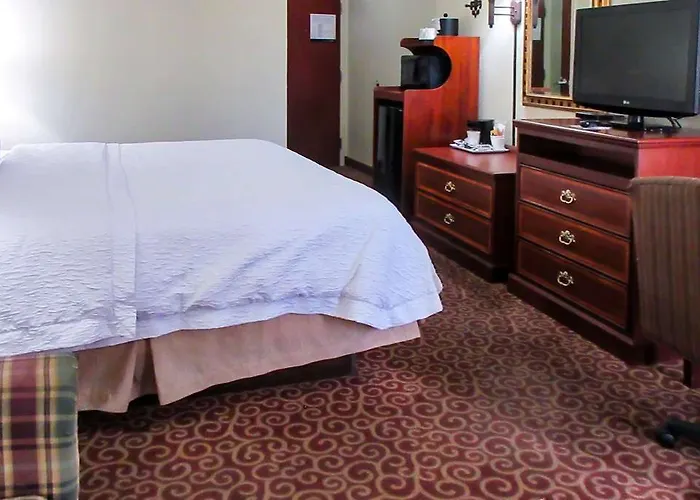 Quality & - Downtown Hotel